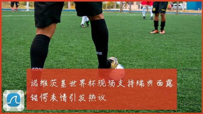 诺维茨基世界杯现场支持瑞典面露错愕表情引发热议