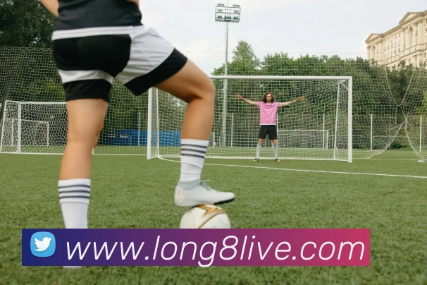 龙8集团APP 封面图